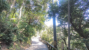 gx015985.mp4_snapshot_00.00_thumb.jpg
