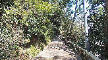 gx015987.mp4_snapshot_00.00_thumb.jpg
