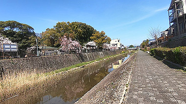 gx015989.mp4_snapshot_02.07_thumb.jpg