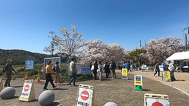 gx015992.mp4_snapshot_00.18_thumb.jpg