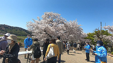 gx015992.mp4_snapshot_00.33_thumb.jpg