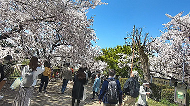 gx015992.mp4_snapshot_00.50_thumb.jpg