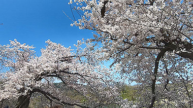 gx015994.mp4_snapshot_00.24_thumb.jpg