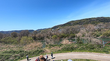 gx015995.mp4_snapshot_00.00_thumb.jpg
