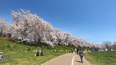 gx015995.mp4_snapshot_01.46_thumb.jpg