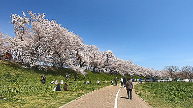 gx015995.mp4_snapshot_01.47_thumb.jpg