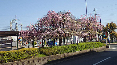 p4050007_thumb.jpg