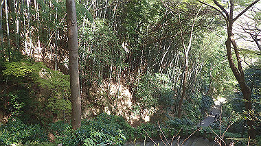 p4050031_thumb.jpg