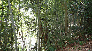 p4050039_thumb.jpg