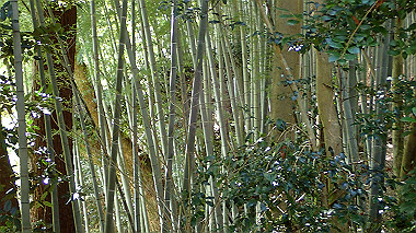 p4050040_thumb.jpg