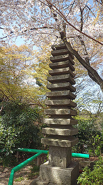 p4050048_thumb.jpg