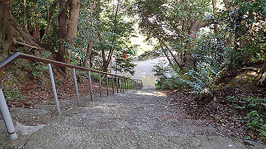 p4050063_thumb.jpg
