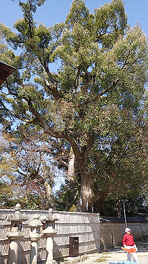 p4050081_thumb.jpg