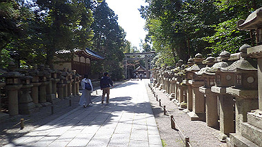 p4050095_thumb.jpg
