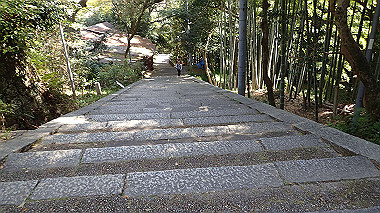 p4050098_thumb.jpg