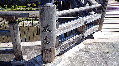 p4050111_thumb.jpg
