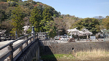 p4050118_thumb.jpg