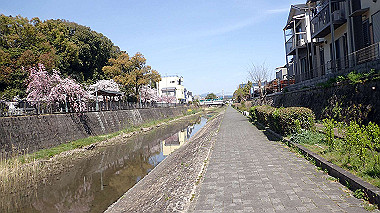 p4050120_thumb.jpg