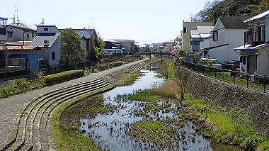 p4050125_thumb.jpg