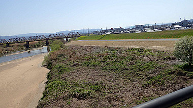 p4050135_thumb.jpg