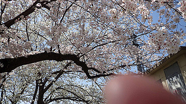 p4050180_thumb.jpg