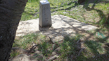 p4050182_thumb.jpg