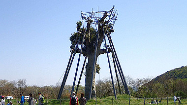 p4050188_thumb.jpg