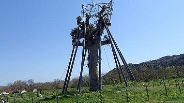p4050189_thumb.jpg