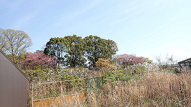 p4050225_thumb.jpg