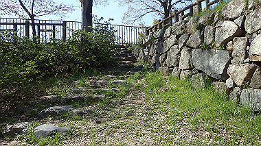 p4050237_thumb.jpg