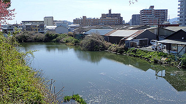 p4050240_thumb.jpg