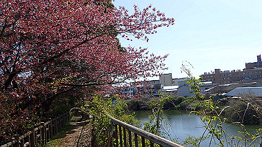 p4050242_thumb.jpg