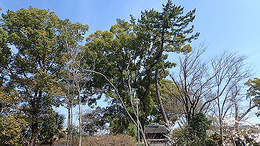 p4050252_thumb.jpg