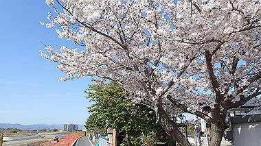 p4050291_thumb.jpg