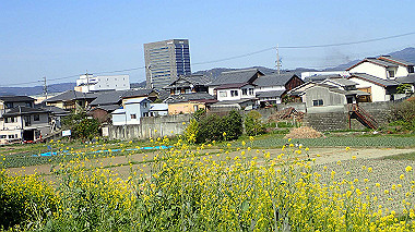 p4050296_thumb.jpg