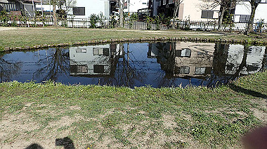 p4050300_thumb.jpg