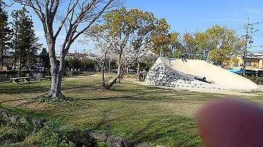 p4050302_thumb.jpg