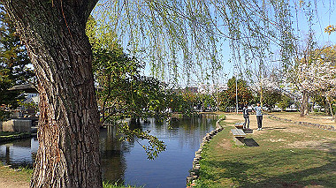 p4050303_thumb.jpg
