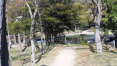 p4050307_thumb.jpg