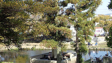 p4050308_thumb.jpg