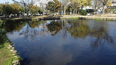 p4050311_thumb.jpg
