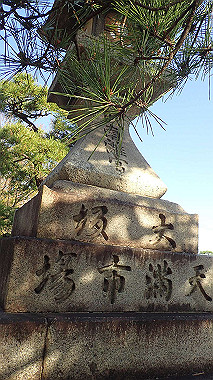 p4050318_thumb.jpg