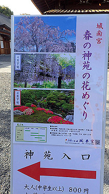 p4050325_thumb.jpg