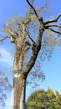 p4050337_thumb.jpg