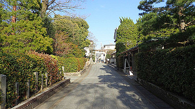 p4050339_thumb.jpg
