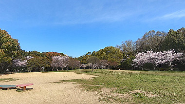 gx016026.mp4_snapshot_00.00_thumb.jpg