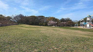 gx016047.mp4_snapshot_00.00_thumb.jpg