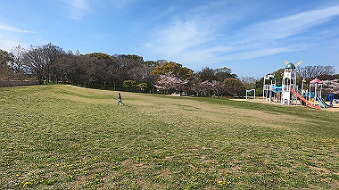 gx016050.mp4_snapshot_00.00_thumb.jpg