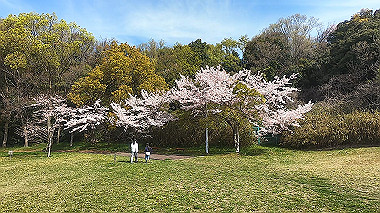 gx016051.mp4_snapshot_00.00_thumb.jpg