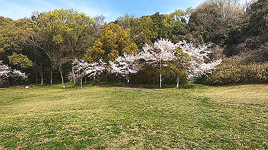 gx016053.mp4_snapshot_00.00_thumb.jpg